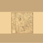 Les villas du bd Amédée Autran