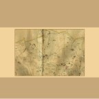 les villas de l&rsquo;avenue Olympe