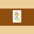 les industries (produits détergents)